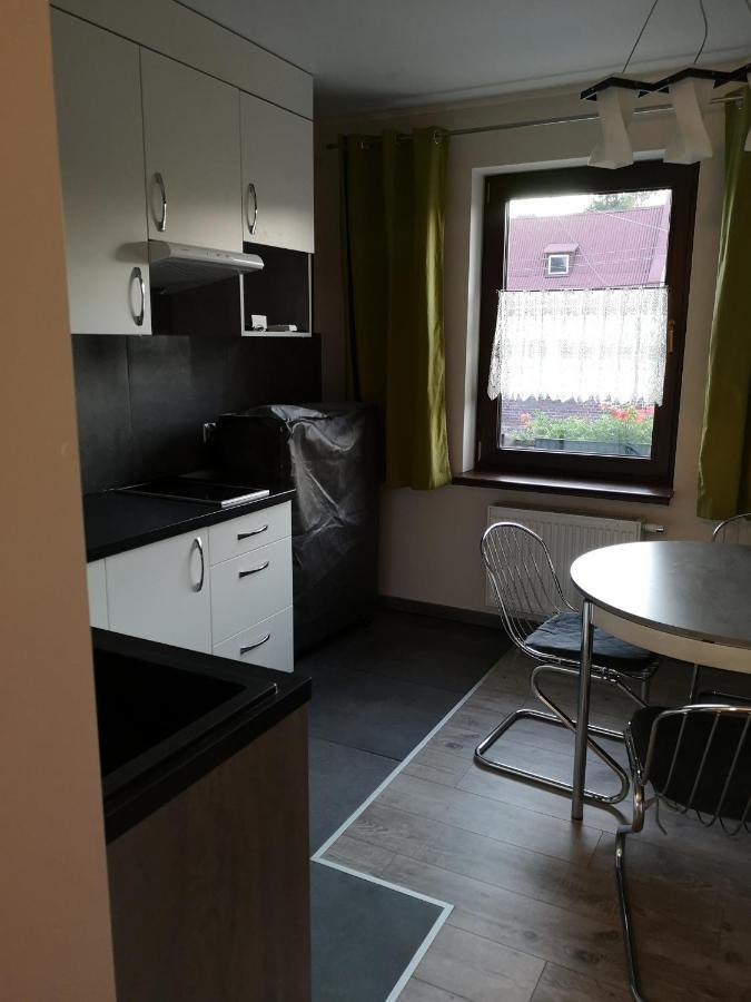 Apartamenty Jaskinia Solna Ruda Slaska Dış mekan fotoğraf