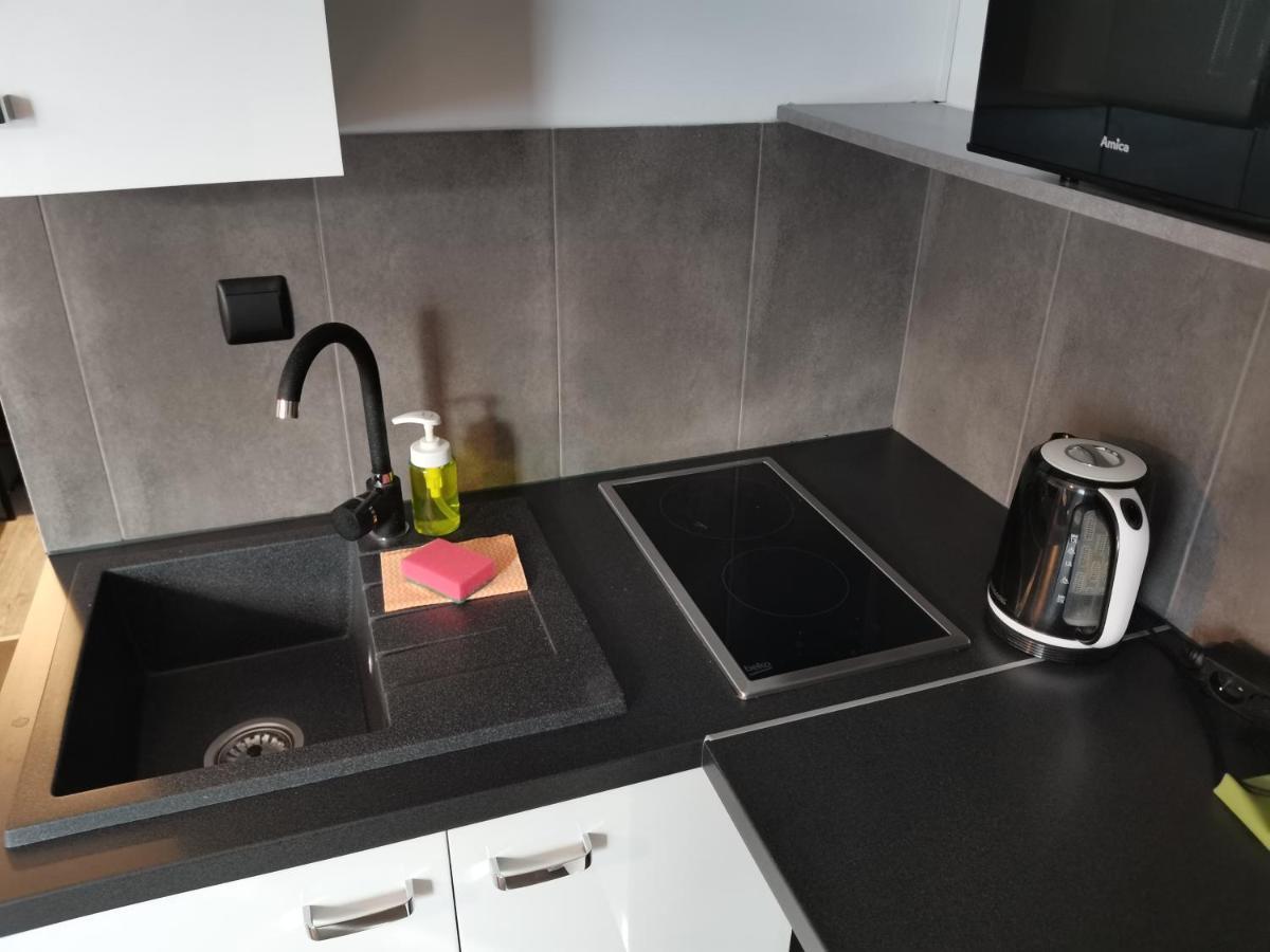 Apartamenty Jaskinia Solna Ruda Slaska Dış mekan fotoğraf