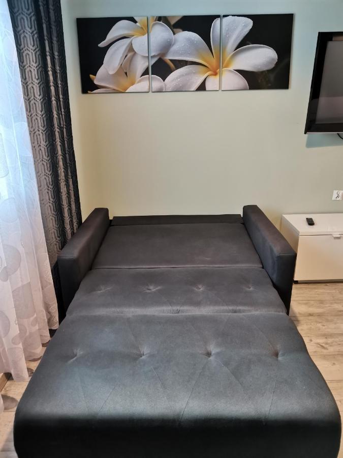 Apartamenty Jaskinia Solna Ruda Slaska Dış mekan fotoğraf